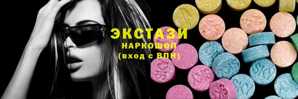дживик Ельня