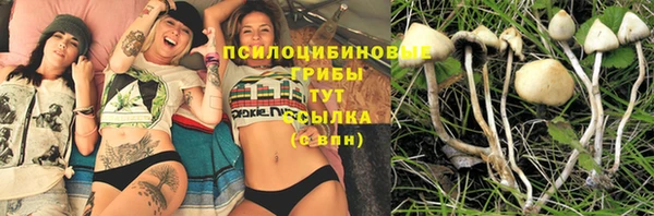 а пвп мука Армянск