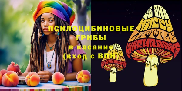 МДПВ Елизово