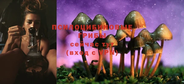 а пвп мука Армянск