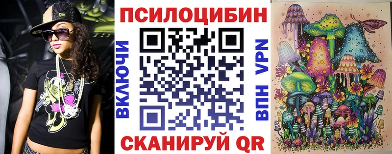 где купить наркоту  Полесск  Псилоцибиновые грибы MAGIC MUSHROOMS 